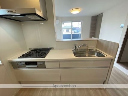 ナピカⅡ[1LDK/44.62m2]のキッチン