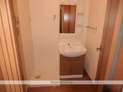 Ｍａｉｓｏｎ　Ｇｒａｎｚｃｈｅｓｔａ[1R/36m2]の洗面所