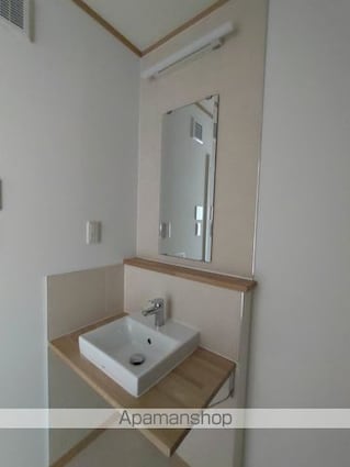 アビタシオン左入町[1LDK/34.8m2]の洗面所
