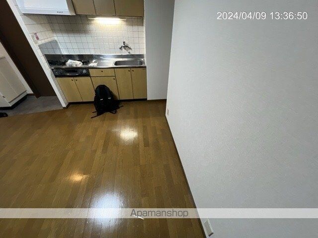ロングアイランドガーデン[2DK/47.7m2]のキッチン3