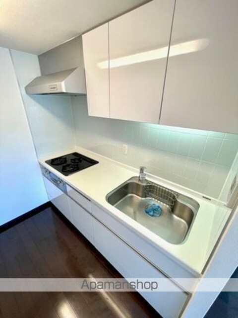 レジディア三軒茶屋Ⅱ[2LDK/67.8m2]のキッチン