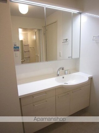 サンモール東川口　Ａ棟[2LDK/70.29m2]の洗面所