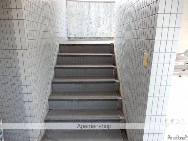 ペガサスIIのその他写真