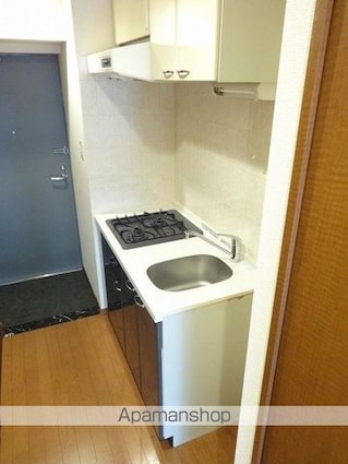 パークウェルツインズ戸越銀座弐番館[1K/21.84m2]のキッチン