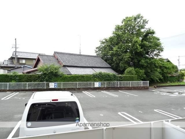 プラタナスのその他写真