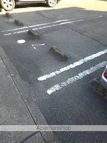 パンタナールのその他写真