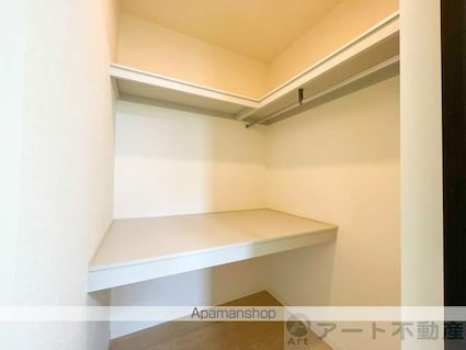 シャーメゾン天山[1LDK/49.07m2]の収納