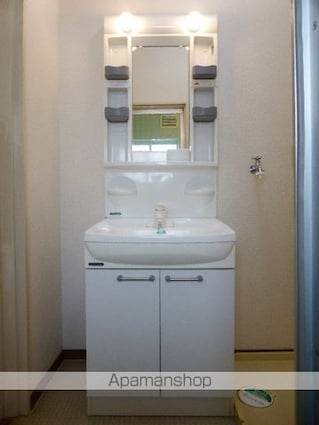 ホワイティー沙羅Ａ棟[2LDK/45.36m2]の洗面所
