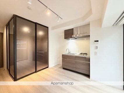 ルネサンス赤坂プレミアムコート[1LDK/30.58m2]のリビング・居間4