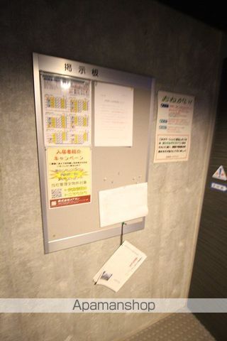 グランドラインのその他写真