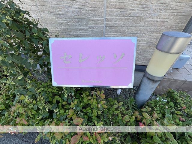 セレッソのその他写真