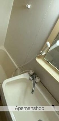 ラ・パルフェ・ド・コリドール[1R/27.6m2]の洗面所