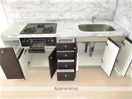 ライオンズマンション大泉学園第３[3DK/50.76m2]のキッチン