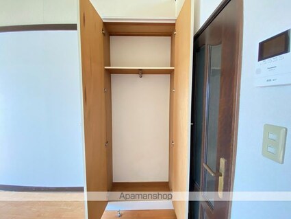 プラザドゥテレサ[1K/16m2]の収納