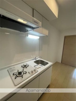 ＦＬレジデンス新宿ＩＩＩ[1DK/30.02m2]のキッチン