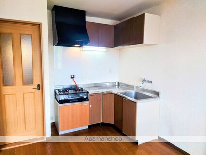 アイリスハイツ[2DK/49.8m2]のキッチン