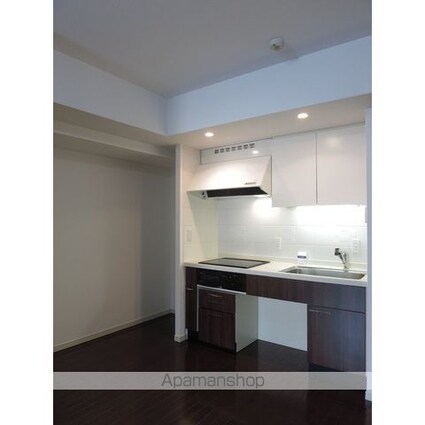 パークフラッツ銀座イースト[1R/45.97m2]のキッチン