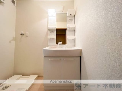 キャピトゥール[2LDK/63.49m2]の洗面所