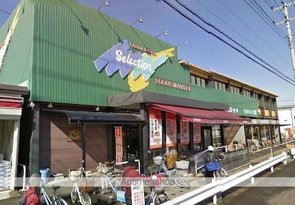 埼玉県三郷市鷹野４丁目[4LDK/100.19m2]の周辺2