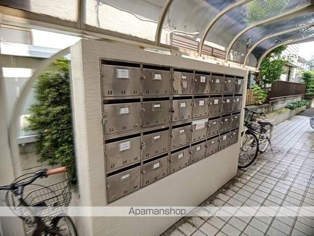 シェレバウムのその他写真