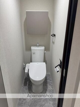 メインステージ板橋志村Ⅲ[1LDK/36.06m2]のトイレ