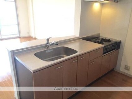 サン・グリーン[2LDK/60.03m2]のその他内装6