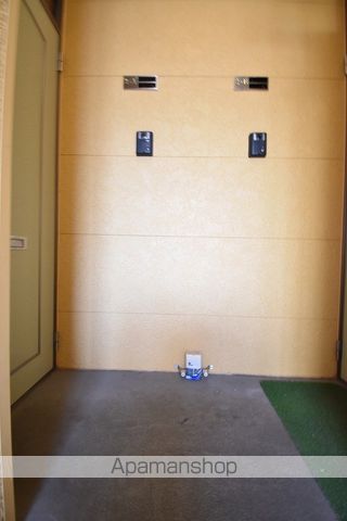 バルーンフラワーのその他写真