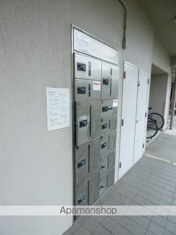 アレルヤのその他写真