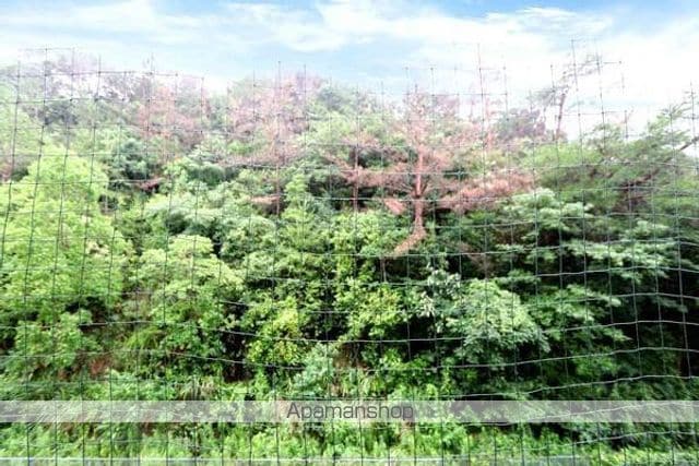 ビレッジハウス琴海2号棟の内装写真