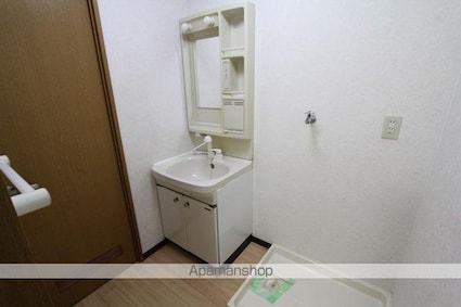 細谷マンション[2LDK/56.2m2]の洗面所