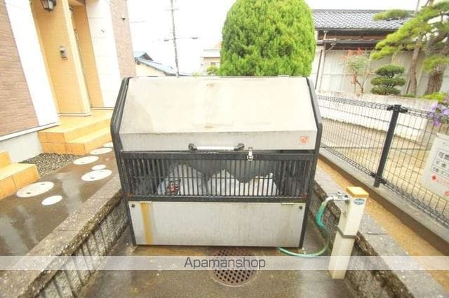 サンセベリアのその他写真