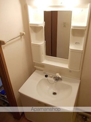 広島県府中市用土町[2DK/43.82m2]の洗面所