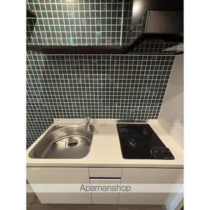 Ｔｈａｍｅｓ　ｇａｒｄｅｎ　ｐｌａｃｅ[1K/28.52m2]のキッチン1