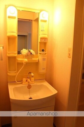 メゾンパークみずほ台[1K/25.28m2]の洗面所