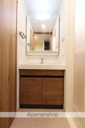 ＢＬＥＳＳ亀戸[1K/25.95m2]の洗面所