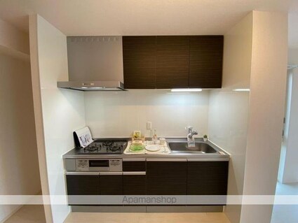 グランデージ　サコ[1LDK/46.44m2]のキッチン