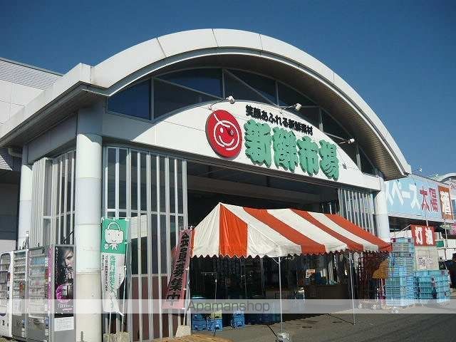 ドリーム21 Cの周辺写真
