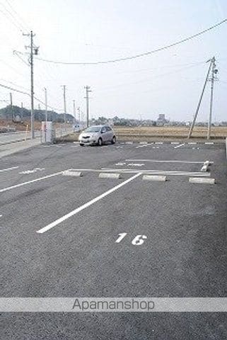 エバーグリーンのその他写真
