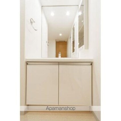 パークアクシス御茶ノ水ステージ[1K/29.7m2]の洗面所