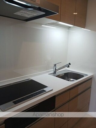 フィオーレ[1LDK/42.59m2]のキッチン