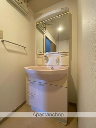 サンリッチ久保[2SLDK/70.67m2]の洗面所