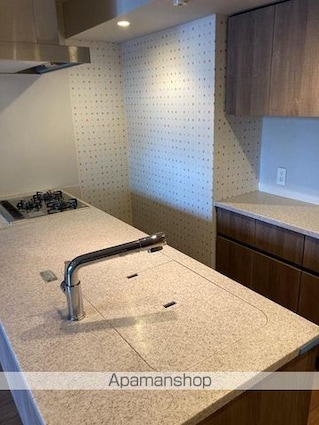 ＧＲＥＥＮ　ＰＡＲＫ日本橋堀留町[3LDK/68.26m2]のキッチン