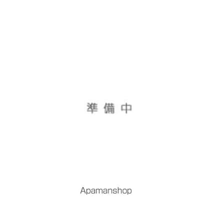 第三ローヤル上鷺[1LDK/40.06m2]のその他内装