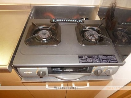 アフロディテ[1K/29.39m2]のその他部屋・スペース