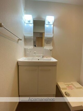 ディス・リヴィエール[2DK/46.18m2]の洗面所