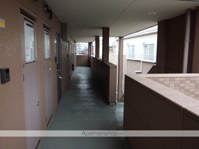 ブラウニーピアのその他写真