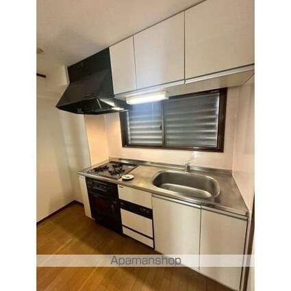 アメニティー大善[1LDK/47.33m2]のキッチン1