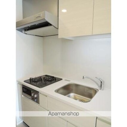 パークアクシス錦糸町ヴェール[1LDK/33.92m2]のキッチン