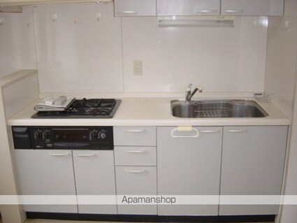 ストークマンション高田馬場[1LDK/52.14m2]のキッチン