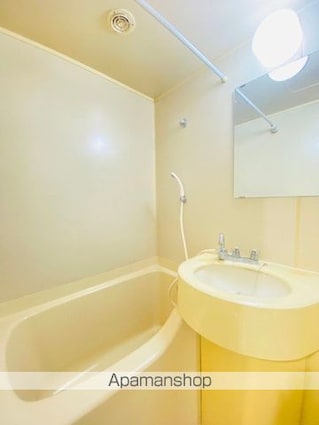 池袋シティハイツ[1R/26.87m2]の洗面所